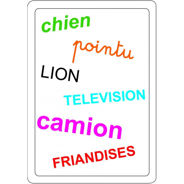 Jeu - Tam Tam Safari - Les mots en ien ion ian ein oin ain - Jeu de lecture