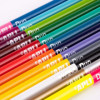 Crayons de couleurs - Double pointe - 24 couleurs vives - Scolaire - Coloriage - Apli Kids