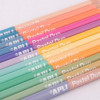 Crayons de couleurs - Double pointe - 24 couleurs pastels - Scolaire - Coloriage - Apli Kids