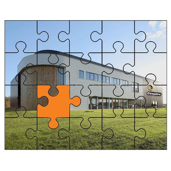 Colle - Vernis - Pour puzzle - flacon de 100g - Cléopâtre