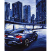 photo-Peinture par numéros - Course de nuit - 30 x 40 cm - Niveau intermédiaire