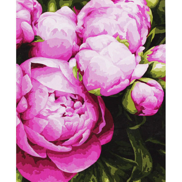 photo-Peinture par numéros - Bouquet de pivoines - 30 x 40 cm - Niveau intermédiaire
