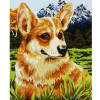 photo-Peinture par numéros - Chien le petit corgi - 30 x 40 cm - Niveau intermédiaire