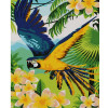photo-Peinture par numéros - Le perroquet tropical - 30 x 40 cm - Niveau intermédiaire