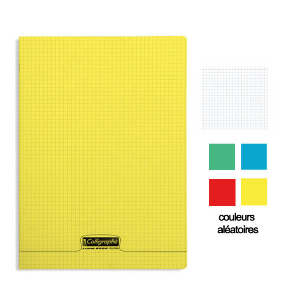 Cahier - 24x32(cm) - Petits carreaux - 96 pages - couverture en polypro - sans spirale - Clairefontaine