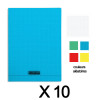 Lot de 10 cahiers - 24x32(cm) - Petits carreaux - 96 pages - couverture en polypro - sans spirale - Clairefontaine