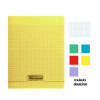 Lot de 10 cahiers - 24x32(cm) - Grands carreaux - 48 pages - couverture en polypro - sans spirale - Clairefontaine