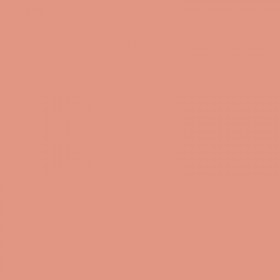 Porte-vue - 80 vues - Corail pastel - Polypro - A4 - Exacompta