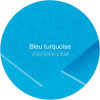 Cartes - 8,2x12,8cm - 210g - Pollen - Bleu turquoise - 25 unités - Clairefontaine