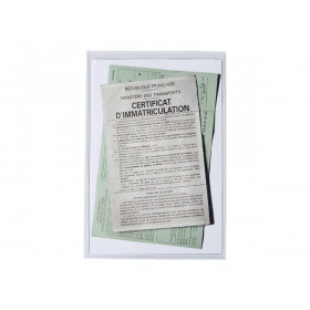 Etui de protection - Carte grise - Assurance auto - Plastique - Transparent - Exacompta