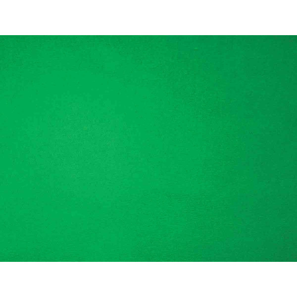 photo-Feuille de papier crépon - Vert - 0,5 x 2 m - Loisirs créatifs - CTOP