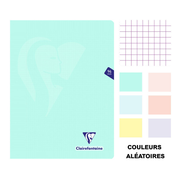 Cahier - 24x32(cm) - Petits carreaux - 96 pages - couverture en polypro - sans spirale - Clairefontaine