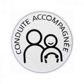 Conduite accompagnée électrostatique - My color'pop | Artmania