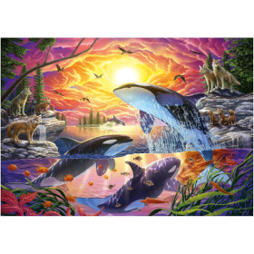 Puzzle - Les orques et les loups - Nature - 4000 pièces - 136x96cm - Dès 14 ans - Educa