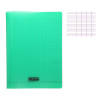 photo-Cahier - 24x32(cm) - Grands carreaux - 96 pages - couverture en polypro - sans spirale - Clairefontaine - Calligraphe