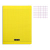 photo-Cahier - 24x32(cm) - Grands carreaux - 192 pages - couverture en polypro - sans spirale - Clairefontaine - Calligraphe