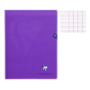 photo-Cahier - 24x32(cm) - Grands carreaux - 96 pages - couverture en polypro - sans spirale - Clairefontaine - Mimesys