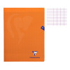 photo-Cahier - 24x32(cm) - Grands carreaux - 96 pages - couverture en polypro - sans spirale - Clairefontaine - Mimesys