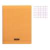 photo-Cahier - 24x32(cm) - Grands carreaux - 48 pages - couverture en polypro - sans spirale - Clairefontaine - Calligraphe
