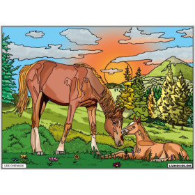 photo-Coloriage - Chevaux - Tableau à colorier - Avec contours velours noir - Dès 3 ans