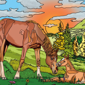 Coloriage - Chevaux - Tableau à colorier - Avec contours velours noir - Dès 3 ans