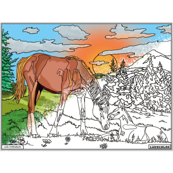 Coloriage - Chevaux - Tableau à colorier - Avec contours velours noir - Dès 3 ans