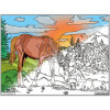 Coloriage - Chevaux - Tableau à colorier - Avec contours velours noir - Dès 3 ans