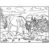 Coloriage - Chevaux - Tableau à colorier - Avec contours velours noir - Dès 3 ans