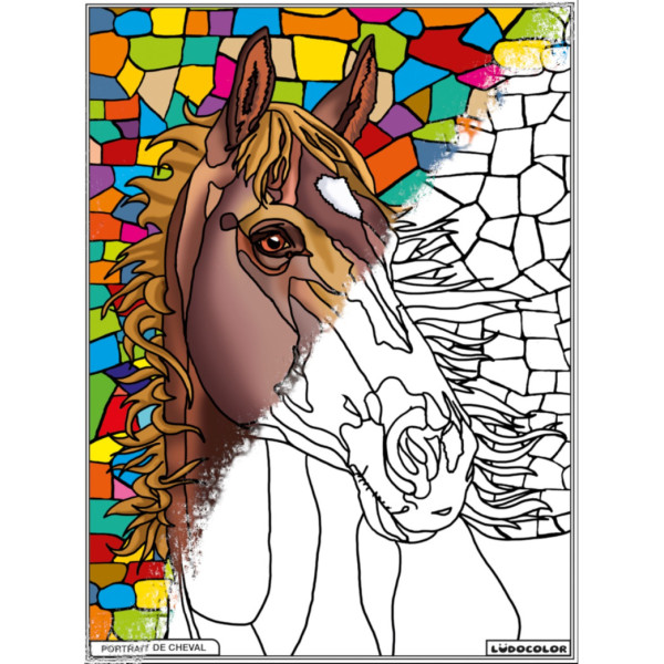 Coloriage - Cheval - Tableau à colorier - Avec contours velours noir - Dès 3 ans
