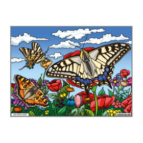 photo-Coloriage - Papillons - Tableau à colorier - Avec contours velours noir - Dès 3 ans