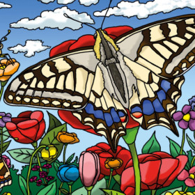 Coloriage - Papillons - Tableau à colorier - Avec contours velours noir - Dès 3 ans
