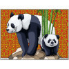 photo-Coloriage - Pandas - Tableau à colorier - Avec contours velours noir - Dès 3 ans