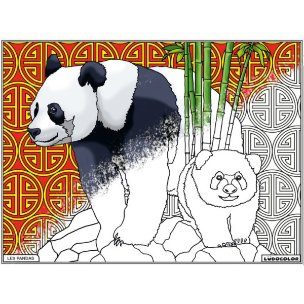 Coloriage - Pandas - Tableau à colorier - Avec contours velours noir - Dès 3 ans