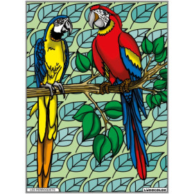 photo-Coloriage - Perroquets - Tableau à colorier - Avec contours velours noir - Dès 3 ans