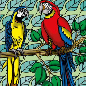 Coloriage - Perroquets - Tableau à colorier - Avec contours velours noir - Dès 3 ans