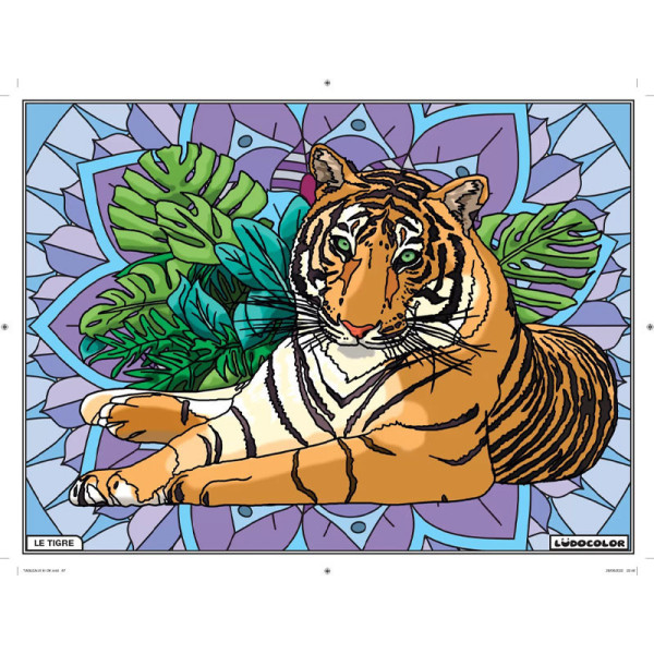 photo-Coloriage - Tigre - Tableau à colorier - Avec contours velours noir - Dès 3 ans