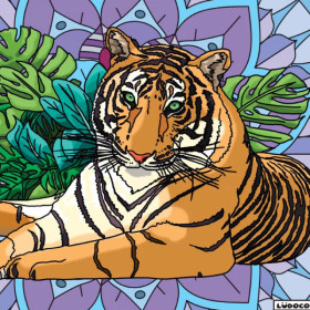 Coloriage - Tigre - Tableau à colorier - Avec contours velours noir - Dès 3 ans