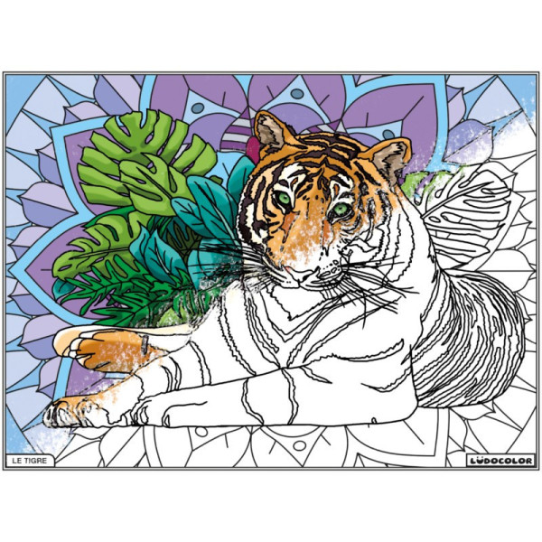 Coloriage - Tigre - Tableau à colorier - Avec contours velours noir - Dès 3 ans