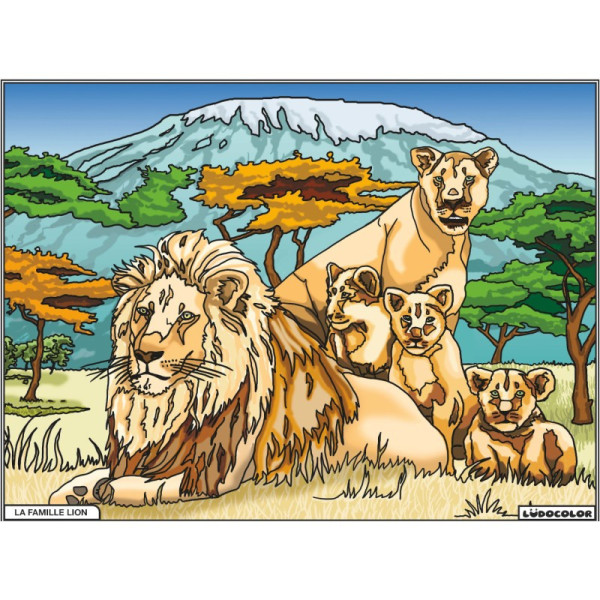photo-Coloriage - Lions - Tableau à colorier - Avec contours velours noir - Dès 3 ans