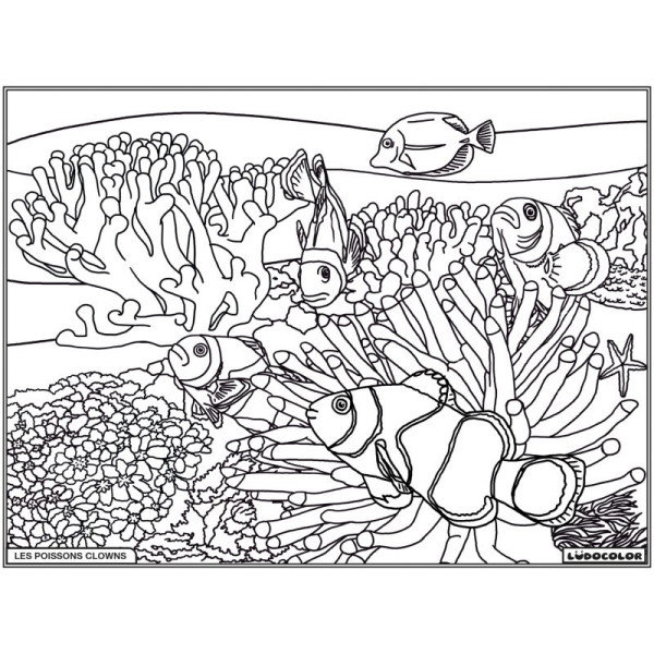Coloriage - Poissons clowns - Tableau à colorier - Avec contours velours noir - Dès 3 ans
