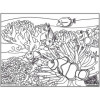 Coloriage - Poissons clowns - Tableau à colorier - Avec contours velours noir - Dès 3 ans