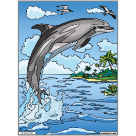photo-Coloriage - Dauphin - Tableau à colorier - Avec contours velours noir - Dès 3 ans