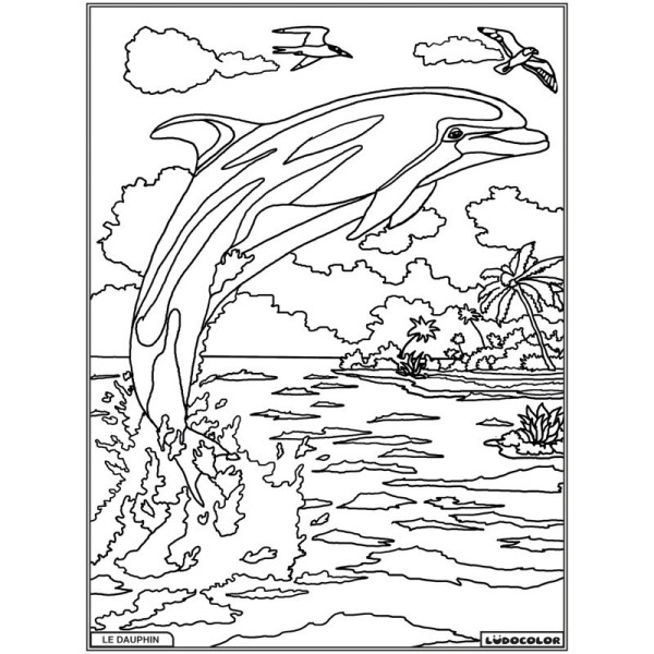 Coloriage - Dauphin - Tableau à colorier - Avec contours velours noir - Dès 3 ans