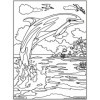 Coloriage - Dauphin - Tableau à colorier - Avec contours velours noir - Dès 3 ans