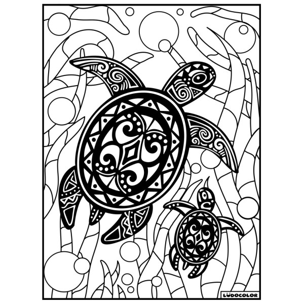 Coloriage - Tortue - Tableau à colorier - Avec contours velours noir - Dès 3 ans