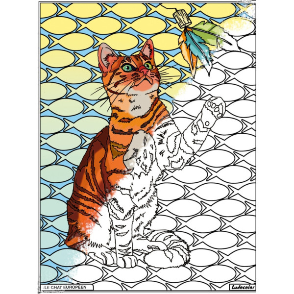 Coloriage - Chat - Tableau à colorier - Avec contours velours noir - Dès 3 ans