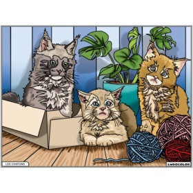 photo-Coloriage - Chatons - Tableau à colorier - Avec contours velours noir - Dès 3 ans