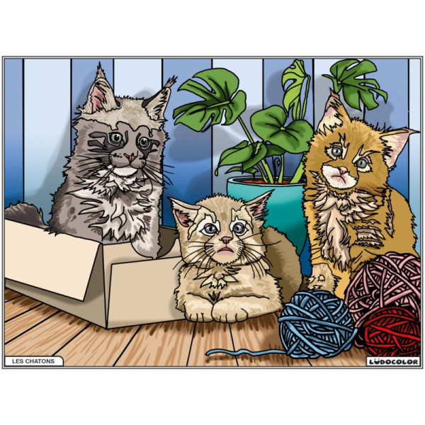 photo-Coloriage - Chatons - Tableau à colorier - Avec contours velours noir - Dès 3 ans