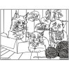Coloriage - Chatons - Tableau à colorier - Avec contours velours noir - Dès 3 ans