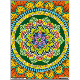 photo-Coloriage - Mandala floral - Tableau à colorier - Avec contours velours noir - Dès 3 ans